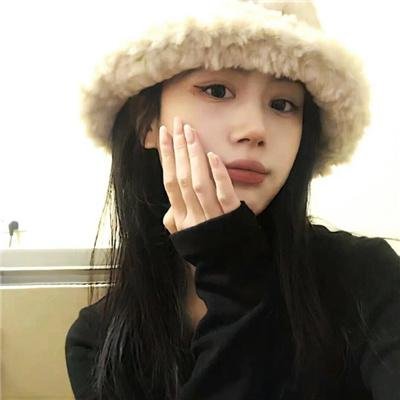 暴风雪中的白鸟