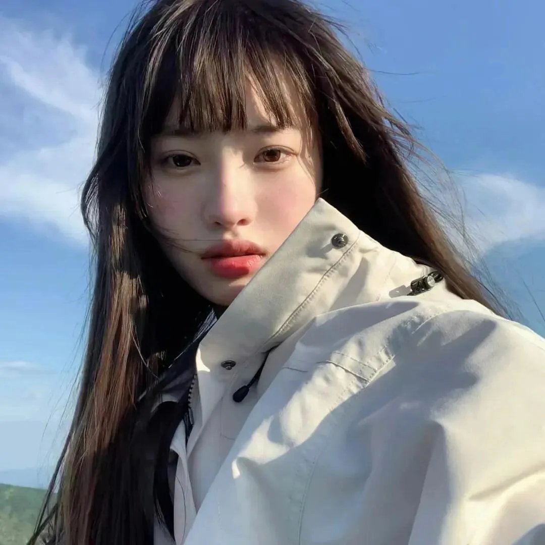 美国派:高潮再起